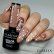 Gél laky Claresa Perfect Nude 1, 3, 2, 5 a 8 Gél laky Claresa Perfect Nude 1, 3, 2, 5 a 8