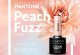 Farba roka 2024: Peach Fuzz - jemný broskyňový odtieň