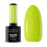 Gél lak CLARESA® Funky Disco 7 - Lime Light