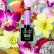 Gel lak CLARESA® TROPICAL ESCAPE 4, 5g