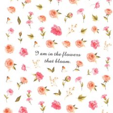 Nálepky na nechty ružové kvety - R006