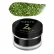 YOSHI Princess Gel  No4 - GREEN, 5g