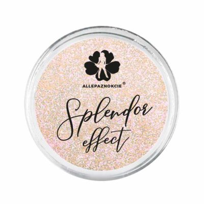 Trblietky Splendor effect 6