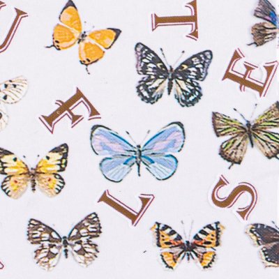Butterflies transzferfólia 100 cm - 10