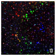 Fekete holografikus transzferfólia 100 cm - 8-13