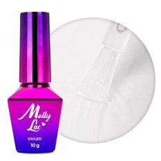 MollyLac TOP NO WIPE MATTE ME!, 10g